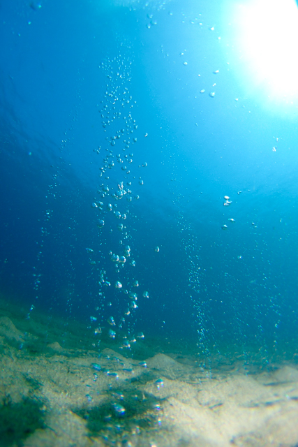 バブルスの海底温泉